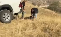 Batman’da tatil keyfi felakete döndü!