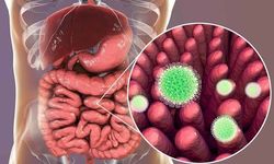 Rota virüsü vakalarında artış! Uzmanlardan ailelere uyarı