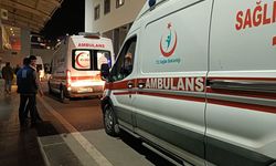 Fasülye tanesi çocuğu hayattan kopardı