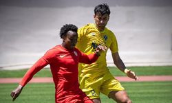 Amedspor - Duhokspor maç sonucu!