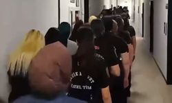 Tefecilik şebekelerine darbe
