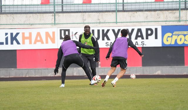 Vanspor'a PFDK'dan ceza yağdı