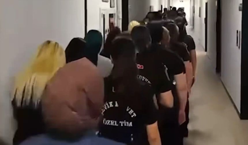 Tefecilik şebekelerine darbe